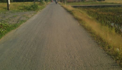 Làm Ăn Thua Lỗ Bán 1200M2 Có Sẵn Căn Nhà Biệt Thự, đường 835A Xã Mỹ Lộc, Long An,giá: 2.1 Tỷ.