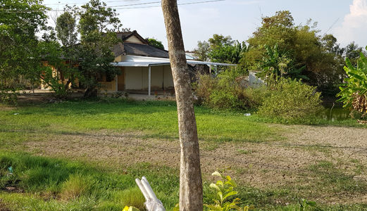 1300M2 Cầu Ông Thìn Có 300M Thổ, Đường Hưng Long , Đường 8M Sổ Hồng Riêng