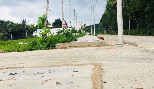 Bán Đất Đường Ba Trại, Cửa Dương Sổ Hồng Riêng Từng Nền, Quy Hoạch Đất Ở, Xây Dựng Tự Do 