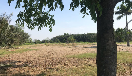 Bán Đất 1700M2 Đất Vườn Giá 2.85 Tỷ, Có Đường Vào, Cách Dg Lê Văn Lương 700M, Nhà Bè