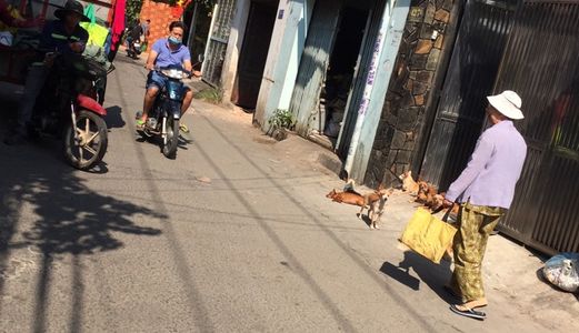 Bán Nhà Hxh 4M, 1 Lầu, Dt 6X21M, Đường Lê Văn Thọ, Gò Vấp