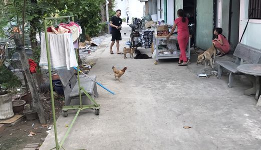 Đất 2 Mt. Shr, 210M2, Ngay Trạm Thu Phí Gần Ngã 3 Cây Lơn, Đông Hoà . Dĩ An