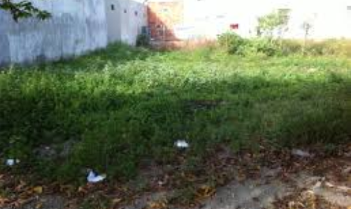 Bán Đất 110M2 Bình Hưng Giá Rẻ Chưa Từng Có 12Tr/M2 