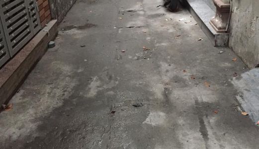 Bán Nhà Đội Cấn, 50M2 X 4T, Lô Góc, Mt 6M, Cách Phố 20M, Kd Vp, 5.8 Tỷ