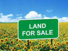 Bán Đất Xd Đồi Huy Hoàng, Phường 8, Đà Lạt Giá 5,1 Tỷ