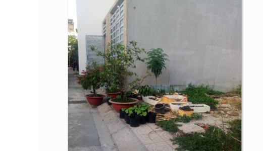 Đất 147M2 (6X25) Kdc Bình Hưng,bc, Có 110M2 Thổ Cư, Sổ Hồng Riêng