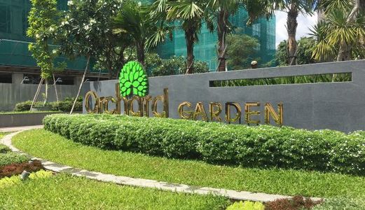 Cho Thuê Văn Phòng Orchard Garden Giá Chỉ 11,5 Triệu/tháng.