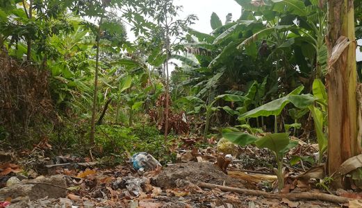 Bán Nền Kdc Nông Thổ Sản 