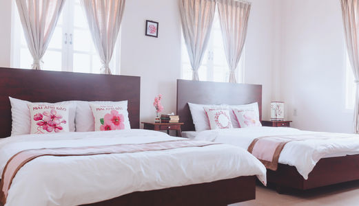 Bán Biệt Thự Sân Vườn Đường Mai Anh Đào, Phường 8, Đà Lạt - 229,59M2 - 7,3 Tỷ B2025