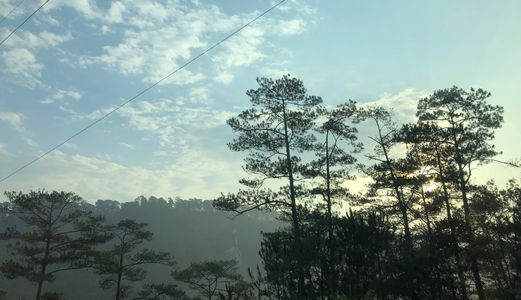 Bán Đất Xd Đường An Dương Vương, Phường 2, Đà Lạt Giá 4,4 Tỷ