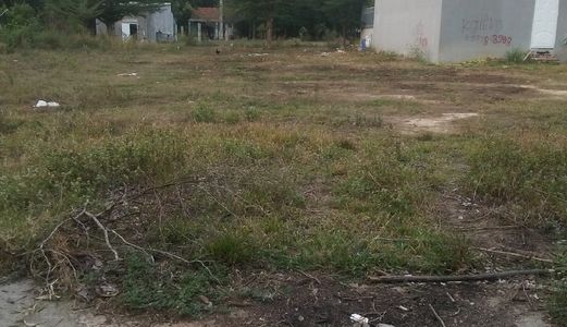 Đất Nền Tân Định Thuộc Dự Án Khu Dân Cư Tân Định 