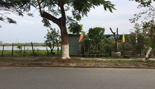 Bán Gấp Lô Đất Đường Thăng Long  – Nằm Gần Cầu Hòa Xuân, Nhìn Đối Diện Qua Chăm Spa, Quận Hải Châu