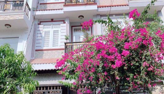 Bán Nhanh Nhà Đẹp Hẻm 1979 Htp .Dt 4X16M. Đường 12M. Giá 4.6 Tỷ 