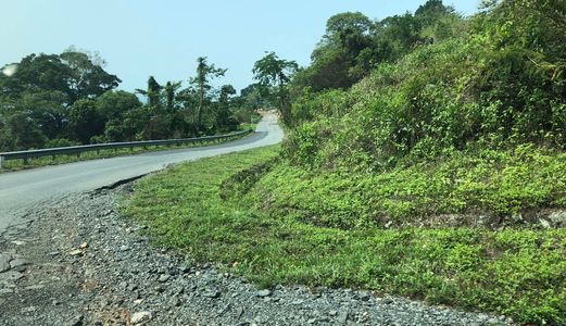 Bán Đất Biệt Thự An Sơn, Phường 4,  Đà Lạt Giá 6,6 Tỷ