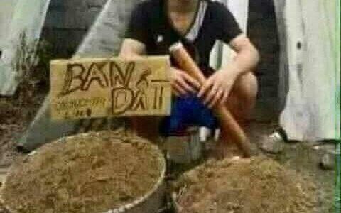 Bán Lô Đất  Đẹp 42M 30Triệu/m2  Dương Nội Hà Đông Cách Đường Lê Trọng Tấn 100M