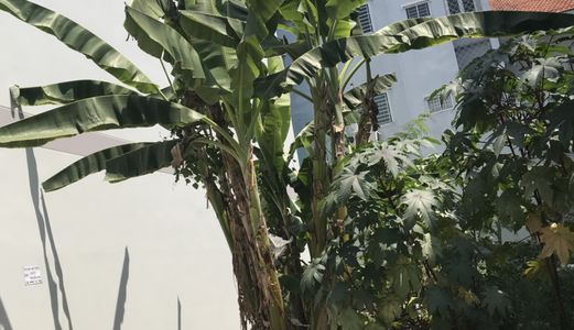 Bán Nhanh Lô Đất Khu Công Ích. Dt 5X18M. Đường 12M. Giá 67 Tr/M2. Q7