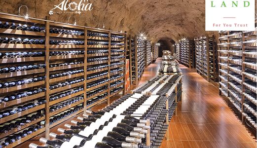 Căn Hộ Biển Aloha, Đẳng Cấp 4 Sao, Sở Hữu Vĩnh Viễn Chỉ 600 Triệu/Căn, Ln 10-40% Lh 0919170433