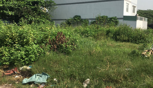 Gia Đình Tôi Sang Rẻ Đất Tân Liêm Quốc Lộ 50 Dt 310M2, Shr, Giá 2Tỷ1, Chính Chủ