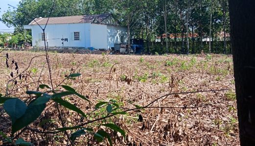 Đất Thổ Cư Kp7 Trục Đường Ra Đa Thị Trấn Chơn Thành .