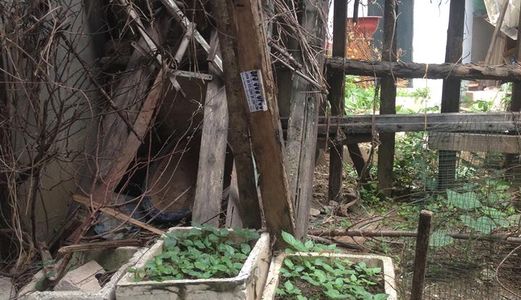 Bán Đất Lạc Long Quân, 42M2, Mt 4M, Ngõ Thông, Gần Phố, 3.5 Tỷ