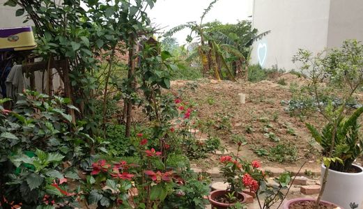 Bán 30M2 Đất Thổ Cư Đẹp 2 Mặt Thoáng Cách Đường Lê Trọng Tấn 300M Dương Nội Hà Đông 810 Triệu