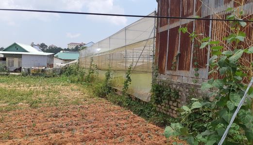 Bán Đất Đường Lữ Gia, Phường 9, Đà Lạt - 458M2 - Giá 6,5 Tỷ Đ2090