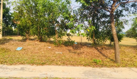 Gia Đình Tôi Cần Tiền Để Cho Con Trai Đi Du Học Nên Muốn Bán Vài Nền Đất Ngay Trung Tâm Đô Thị