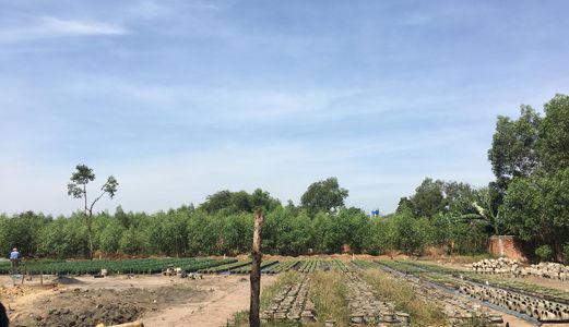 Bán Đất Gần Trường Tiểu Học Phước Thái Giá Chỉ 480Tr/nền