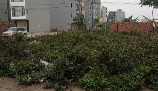 Bán 50M2 Đất Dịch Vụ Đẹp Dương Nội Ngay Sát Ngã Tư Tố Hữu Cắt Lê Trọng Tấn
