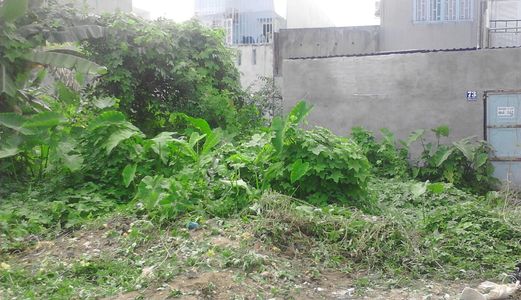 Bán Lô Đất Mặt Đường Số 3, Trường Thọ, Thủ Đức. 64M2 Giá 2.85Tỷ, Shr Lh; 0963590534 Or 0936890554. 