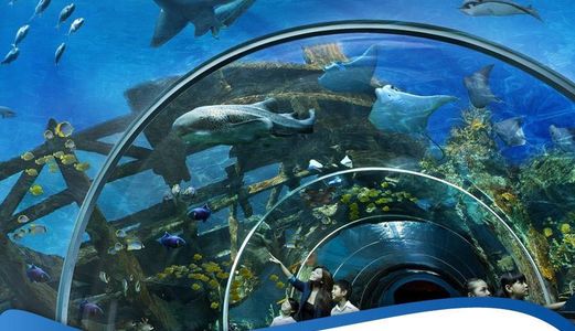 Chỉ 450Tr Sở Hữu Condotel Nội Thất 5* View Biển The Arena Nha Trang