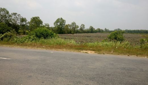 Đất Mặt Tiền Đường N2- Đức Hòa, Dt 65X232M. Giá 16 Tỷ