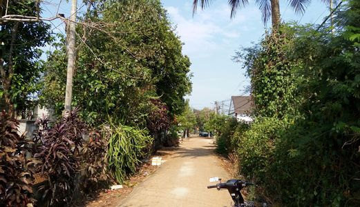Bán Đất Hẻm 53 Trần Quý Cáp. Dt 5 X20. Lh 0945954338