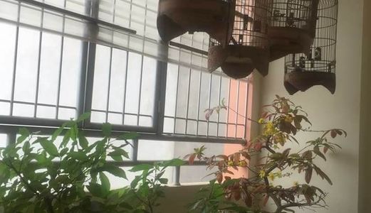 Xách Đồ Về Ở Luôn, Nhà Tam Trinh Cực Chất, Dt35Mx6T, Sđcc, Giá Chỉ 2.9 Tỷ.