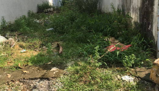 Bán Đất  Diện Tích 5X18,6M Sổ Hồng Riêng , 669M2, Thổ Cư 100% Nguyễn Văn Bứa 1/ ,Sổ Hồng Riêng, Bao Giấy Tờ