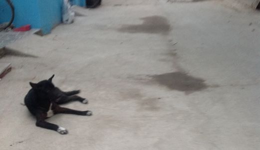 Nhà 1,9 Tỷ Cách Chợ Bình Triệu 300M, Cách Cầu Bình Triệu 350M