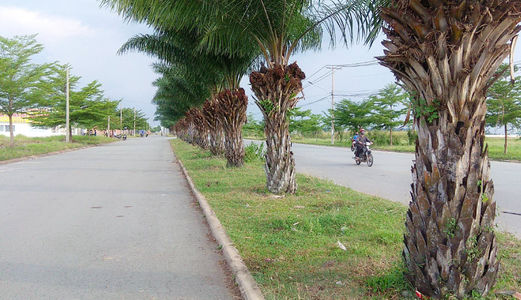 Mở Bán 20 Nền Đẹp Nhất Dự Án, Sổ Hồng Riêng, Xây Đựng Tự Do, Chỉ 490Tr/nền