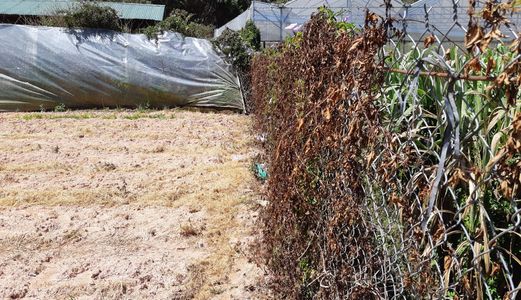 Bán Đất Đường Phù Đổng Thiên Vương, Phường 8, Đà Lạt 171,06M 5,6 Tỷ Đ2178