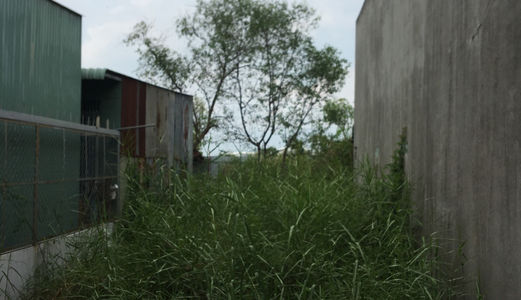 Bán Nhanh Lô Đất Hẻm 2503 Huỳnh Tấn Phát .Diện Tích 5X17M. Hướng Tây .Giá 1.65 Tỷ .