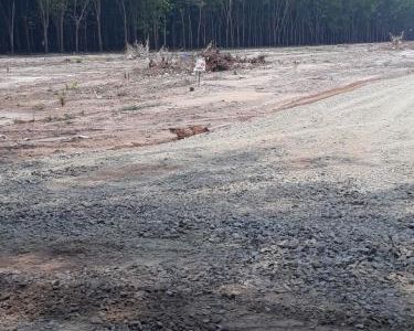 Đất Nền Minh Hưng,Chơn Thành,Bình Phước: 300Triệu ,Diện Tích 5X43M.Bao Sổ