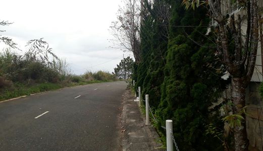 Bán Đất Đường Khu Quy Hoạch Viện Nghiên Cứu Hạt Nhân, Phường 9, Đà Lạt - Dt 224M2 - Giá 6,7 Tỷ