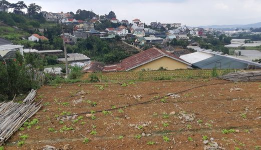 Bán Đất Đường Nam Hồ, Phường 11, Đà Lạt 603,98M2 - 7,3 Tỷ 