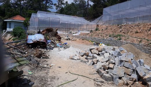 Bán Đất Đường Khu Quy Hoạch Phan Đình Phùng, Phường 2, Đà Lạt - Dt 54M2 - Giá 3,7 Tỷ Đ2220