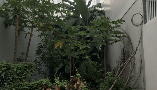 Cần Vốn Bán Nhanh Lô Đất Khu Tái Định Cư .Diện Tích 5X18M. Hướng Nam . Giá Chốt Nhanh 54 Triệu /M2 .