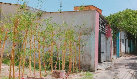 Mua Đất Tặng Nhà Đường Nguyễn Văn Huề 127M2 