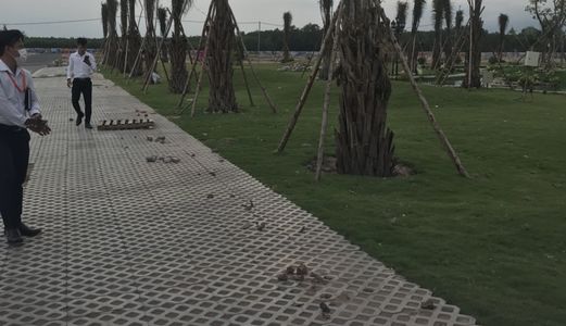 Nhận Giữ Chỗ Đất Huyện Bình Chánh View Đẹp Đảm Bảm Sinh Lời Cao 15-20% Lh 0933244901!