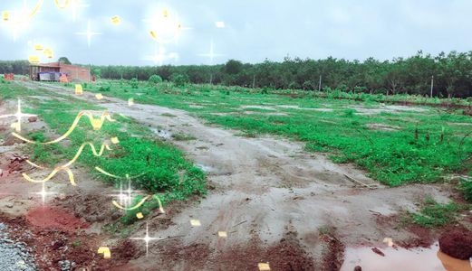 Đất Nền Dự Án Kcn Minh Hưng 3, Vào 2 Km, Gần Trường, Chợ, 349Tr/nền Bao Sổ/5X43