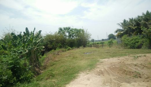 Chính Chủ Bán Gấp Lô Đất 350M2 Mặt Tiền Hương Lộ 2