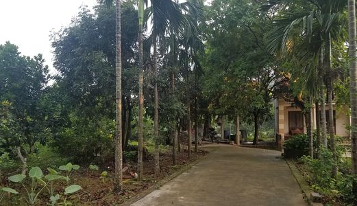 Hot Hot!!! Chuyển Nhượng Đất Thổ Cư Đẹp, Giá Hạt Dẻ.