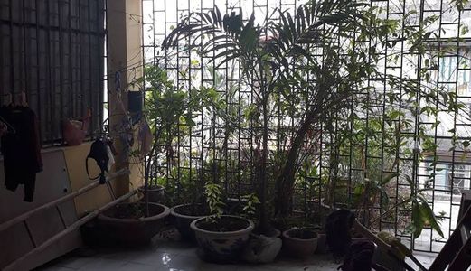 Bán Nhà Khu Thanh Nhàn Diện Tích 72M2 Xây 5 Tầng Mặt Tiền 4,4M Giá 11 Tỷ